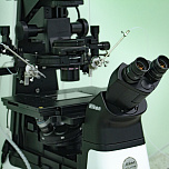 Инвертированный микроскоп с микроманипуляторами для проведения процедуры ИКСИ